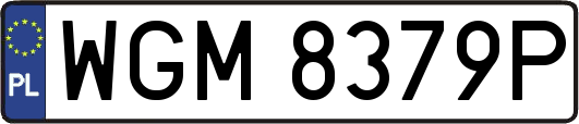 WGM8379P
