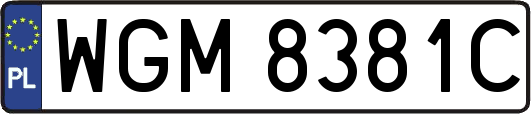 WGM8381C