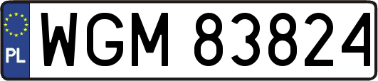 WGM83824