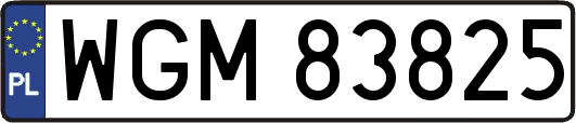 WGM83825