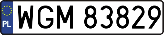 WGM83829