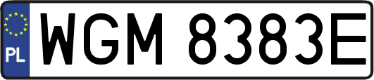 WGM8383E