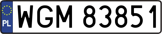 WGM83851