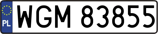 WGM83855