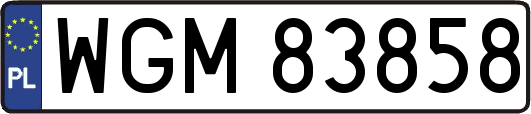 WGM83858