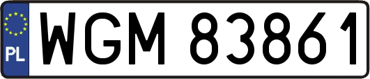 WGM83861