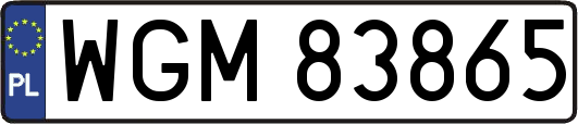 WGM83865