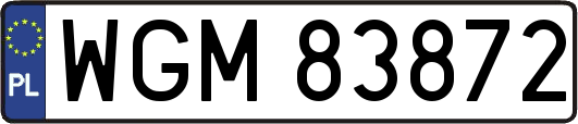 WGM83872