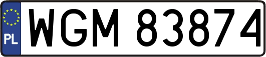 WGM83874
