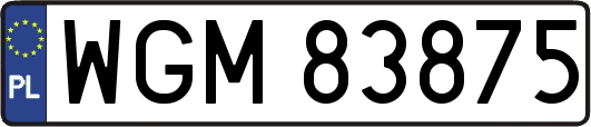 WGM83875