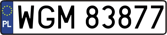 WGM83877