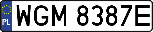 WGM8387E