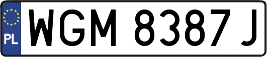 WGM8387J