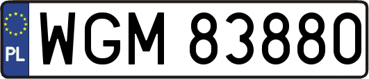 WGM83880