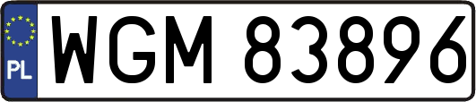 WGM83896
