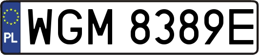 WGM8389E