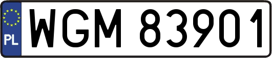WGM83901