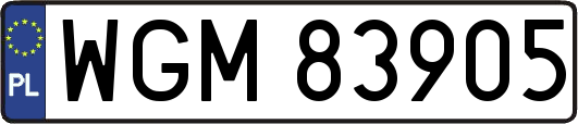 WGM83905