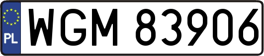 WGM83906