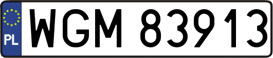 WGM83913