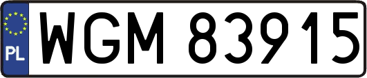 WGM83915