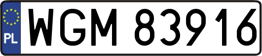 WGM83916