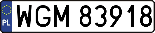 WGM83918