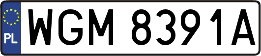 WGM8391A