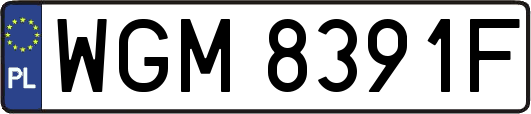 WGM8391F