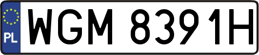 WGM8391H