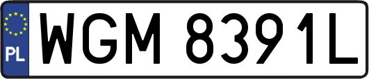 WGM8391L