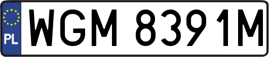 WGM8391M