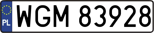 WGM83928