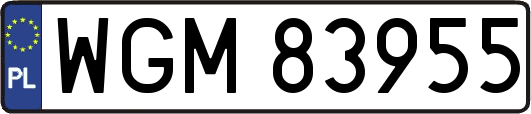 WGM83955