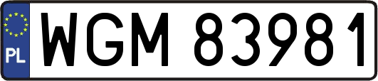 WGM83981