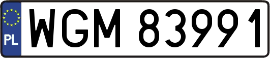 WGM83991