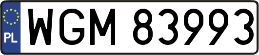 WGM83993