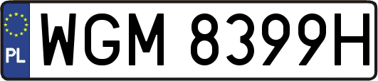 WGM8399H