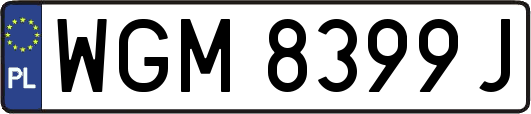 WGM8399J