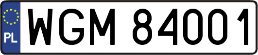 WGM84001