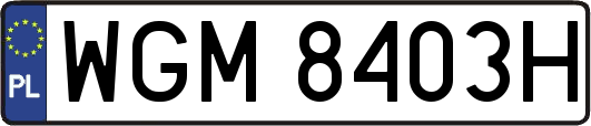 WGM8403H