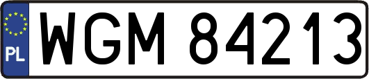 WGM84213