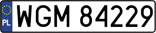 WGM84229
