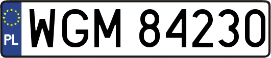 WGM84230
