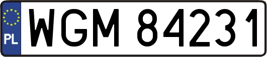 WGM84231