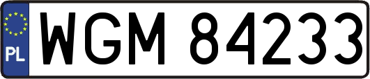 WGM84233