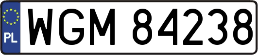 WGM84238