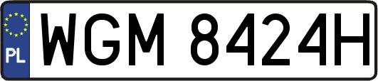 WGM8424H