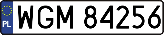 WGM84256