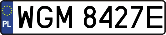 WGM8427E